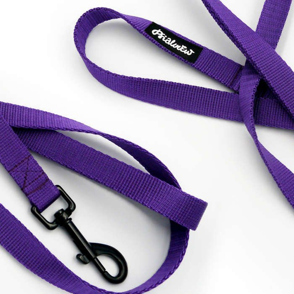 Purple Dog Leash width 2 cm 0.78 ", black extras