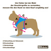 Dog Harness Blue Lagoon Psiakrew, Always Feeling Cool, Super Soft