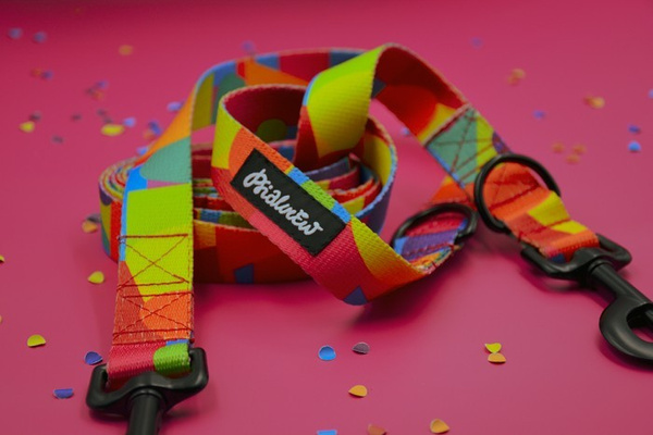 Long Dog Leash Kaleidoscope Psiakrew width 2 cm (0.78"), black snap hook 6 cm