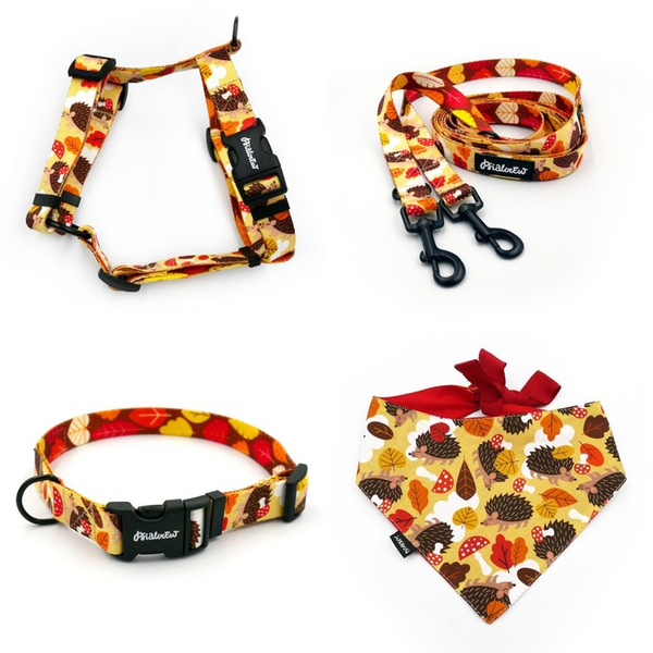 ACCESSORY KIT. Small dog. Hedgehog Dreamer Psiakrew  Series; Collar, Harness, Leash, Bandana