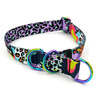 Half-choke collar Crazy Leopard - Psiakrew; 2.5 cm wide, medium and big dogs, HOLO extras