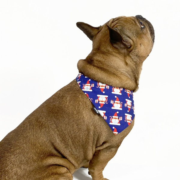 Premium Dog Bandana Santa Clauses handkerchief style to tie around your pet’s neck, Dark blue
