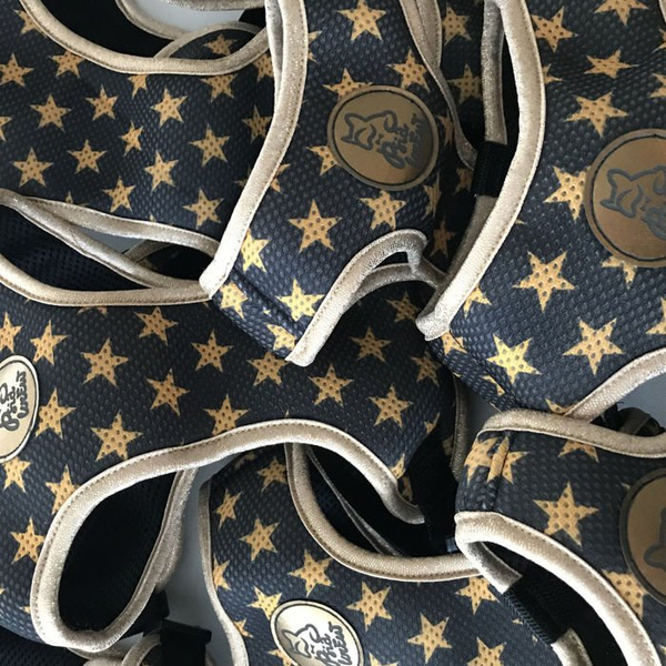 Dog Harness Gold Stars Always Feeling Cool, Super Soft Psiakrew