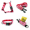ACCESSORY KIT. Small dog. Lollipops Psiakrew Series; Collar, Harness, Leash, Pouch