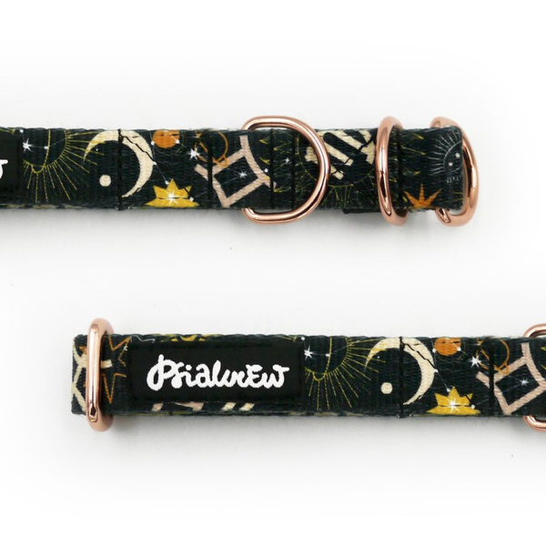 Half-choke collar Zodiac, 2 cm wide, for small dogs, golden extras