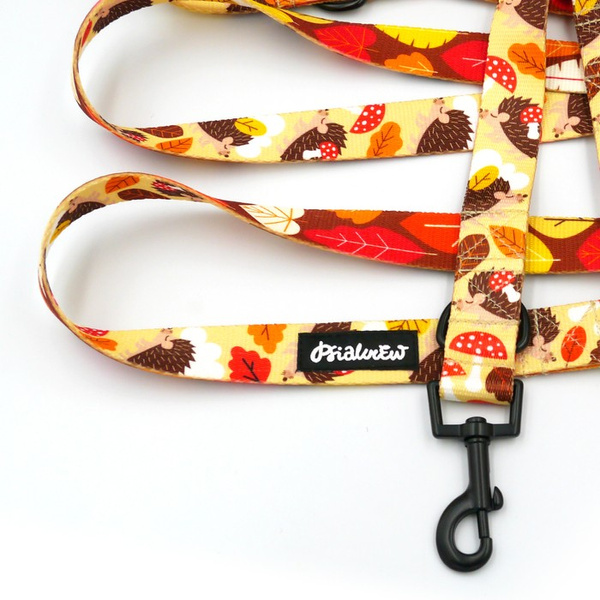 Hundeleine Hedgehog Dreamer Psiakrew, Breite 2,5 cm, Karabiner 6 cm schwarz