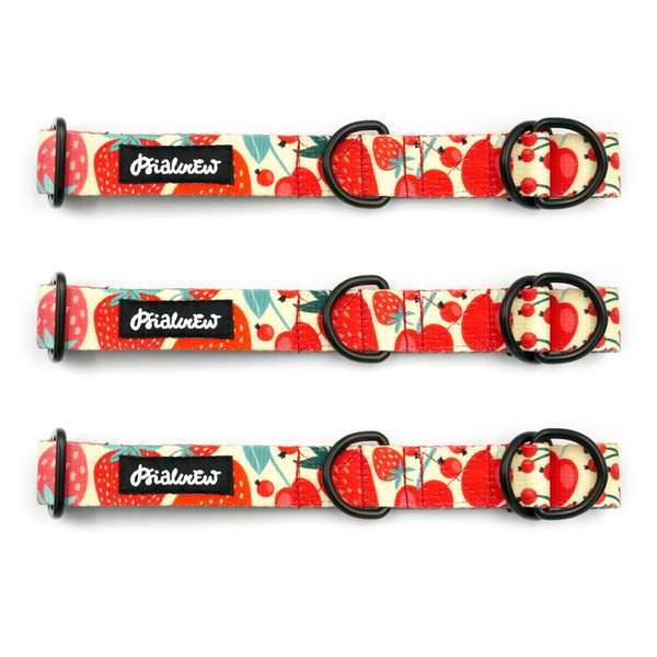 Halb-Klemmhalsband Fruit Jelly Psiakrew, 2,5 cm breit, für mittelgroße und größere Hunde, Schwarz-Beschläge