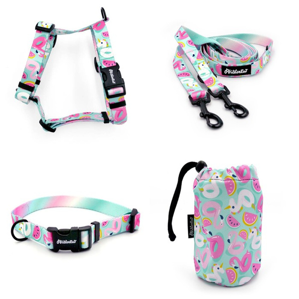 ACCESSORY KIT. Small dog. Azure Pool Psiakrew Series; Collar, Harness, Leash, Sachet for dog treats