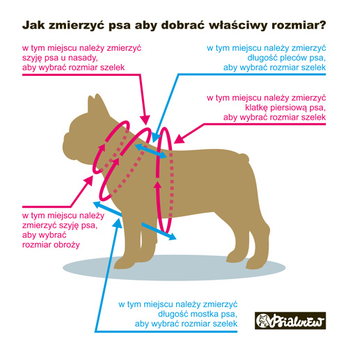 Cinnamon Gingerbread Dog Pressure-free Harness by Psiakrew