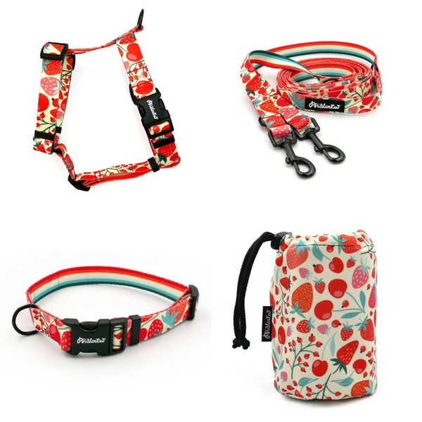 ACCESSORY KIT. Small dog. Fruit Jelly Psiakrew Series; Collar, Harness, Leash, Sachet for dog treats