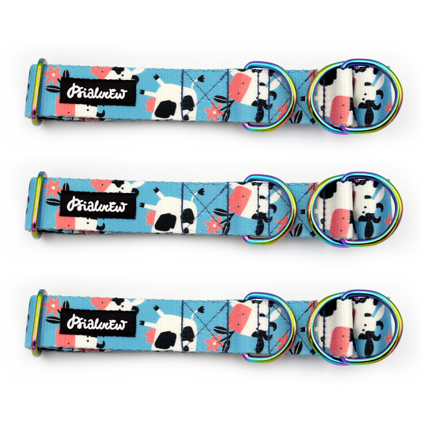 Halbzug-Hundehalsband „Gefleckte Kuh“ von Psiakrew 3 cm, holo Beschläge