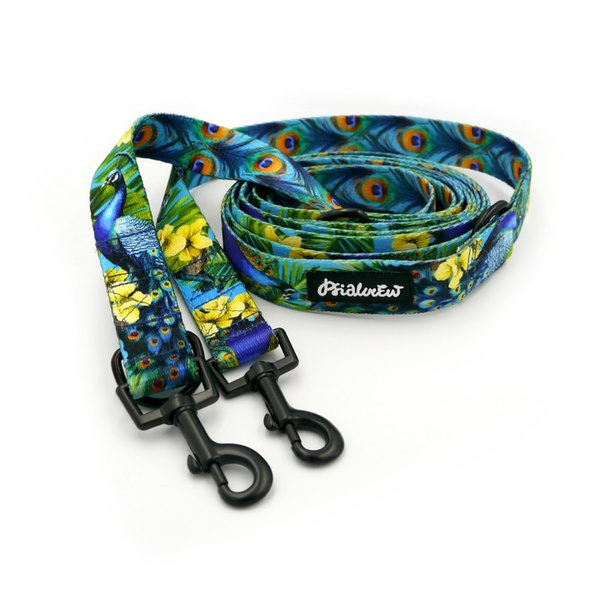 Dog Leash Peacock's Eye Psiakrew width 2.5 cm, 1" wide, snap hook black 6cm