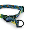 Half-choke collar Peacock's Eye Psiakrew, 2.5 cm wide, medium and big dogs, black extras