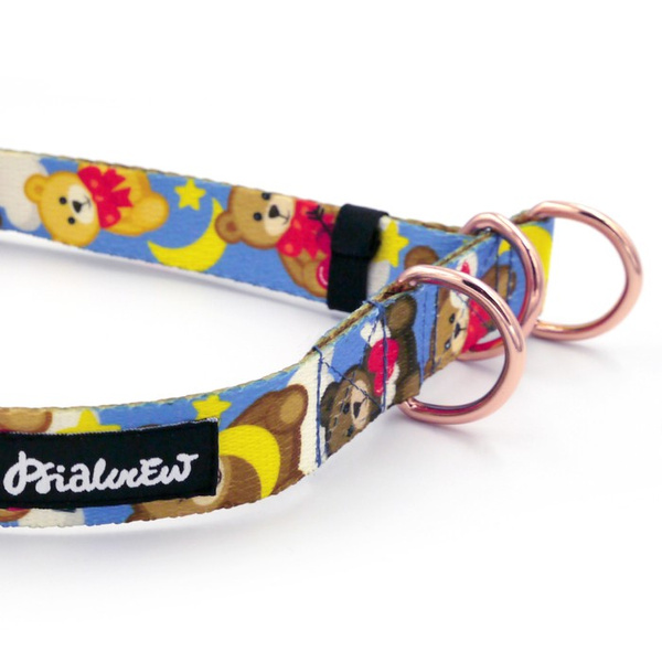 Halb-Klemmhalsband Teddy Bear Psiakrew, 2,5 cm breit, für mittelgroße und größere Hunde, Extras rosagolden