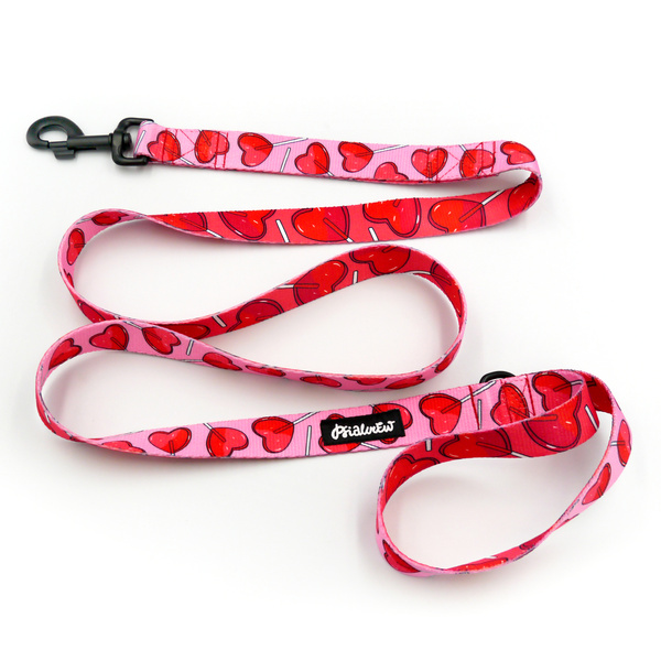 Dog Leash Lollipops Psiakrew width 2.5 cm, 1" wide, big black snap hook 8 cm
