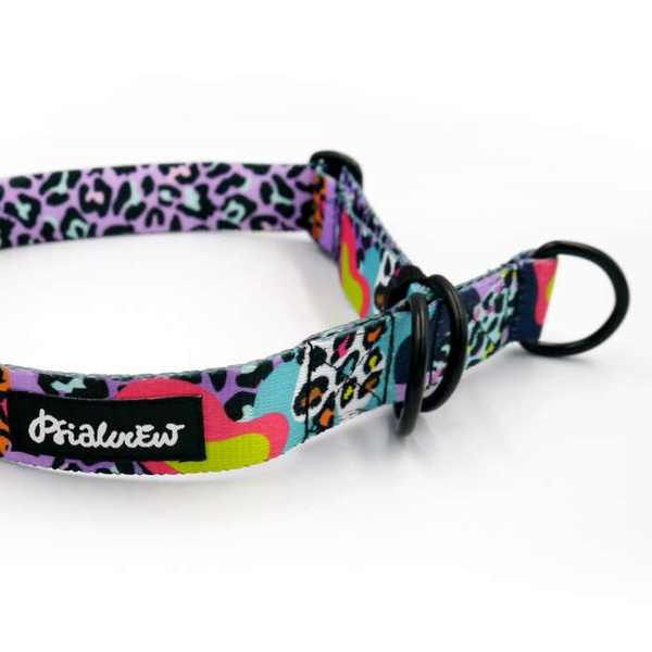 Half-choke collar Crazy Leopard, 2.5 cm wide, medium and big dogs, black extras