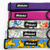 Half-choke collar- Ducky Duck, 2.5 cm wide, medium and big dogs, black extras