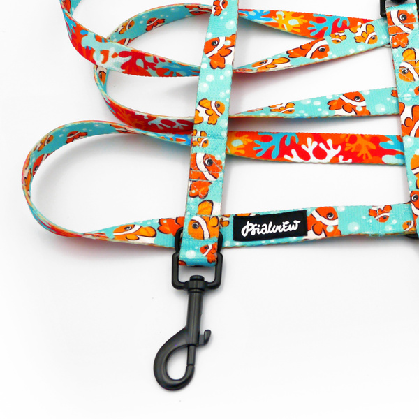 Hundeleine, lang, abnehmbar, verstellbar Blue Lagoon Psiakrew, Breite 2 cm, Karabiner schwarz 7 cm