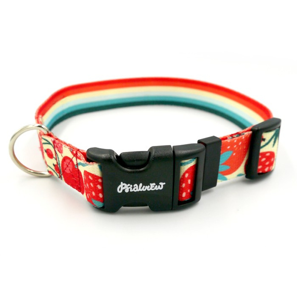 Dog Collar Psiakrew Fruit Jelly 2.5 cm wide, nickel extras, Psiakrew