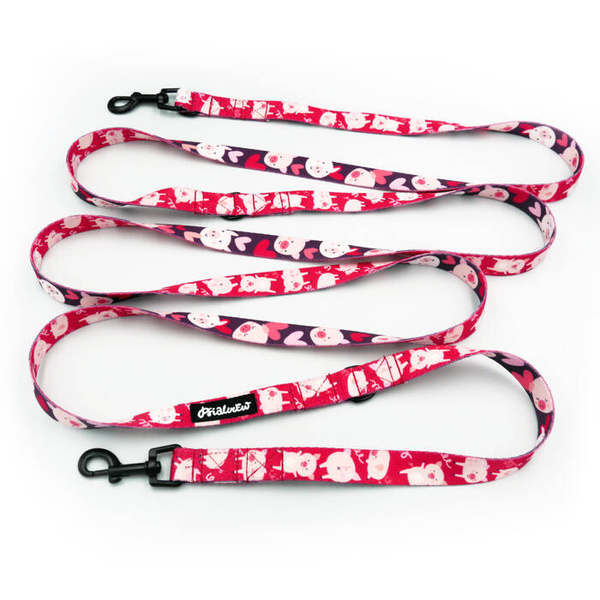 Long Dog Leash Piggy in Love Psiakrew width 2 cm (0.78"), black snap hook 6 cm