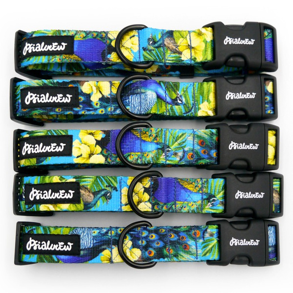 Verstellbares Halsband Peacock's Eye Psiakrew, 2,5 cm breit, schwarze Beschläge