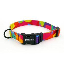 Dog Collar Kaleidoscope Psiakrew, 2 cm 0.78"  wide, for smaller dogs black extras