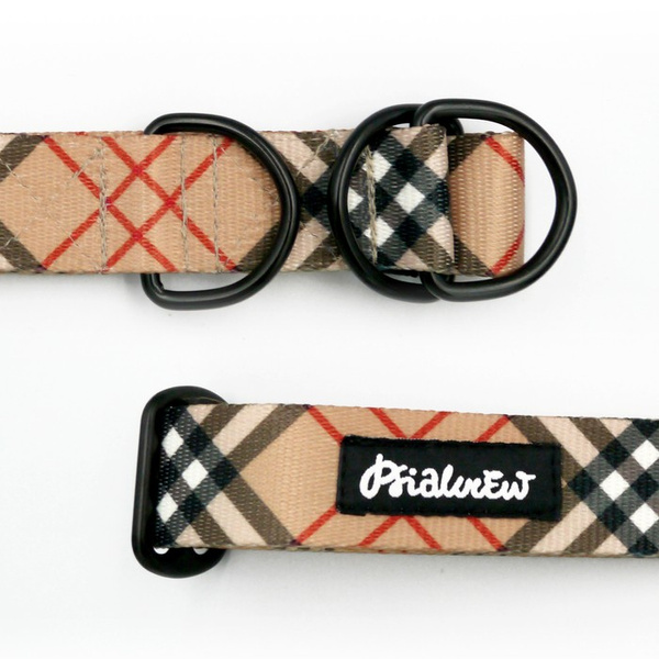 Half-choke collar Dogberry, 3 cm wide, medium and big dogs, black extras