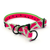 Half-choke collar Watermelon, 2 cm wide, for small dogs, black extras