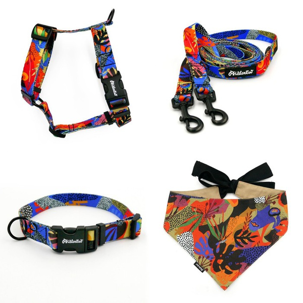 ACCESSORY KIT. Small dog. Colorful Thicket Psiakrew Series; Collar, Harness, Leash, Bandana