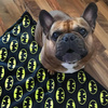 Waterproof Mat for the dog, puppy, cat, Batdog, Psiakrew Design