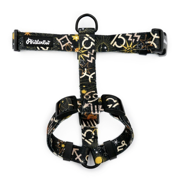 Hundegeschirr, Zodiak Psiakrew, mittlere und größere Hunde, 2,5 cm Gurtband, schwarze Beschläge