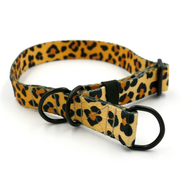 Half-choke collar Tarzan, 2 cm wide, for small dogs, black extras