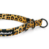 Half-choke collar Tarzan, 2.5 cm wide, medium and big dogs, black extras