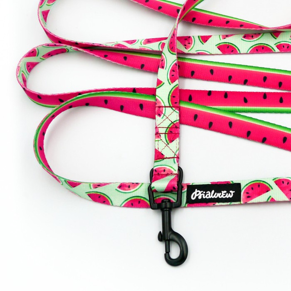 Long Dog Leash Watermelon Psiakrew width 2 cm (0.78"), black snap hook 6 cm