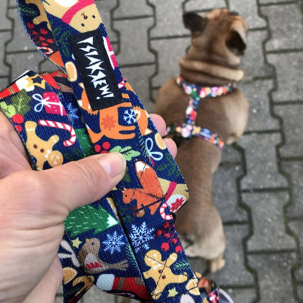 Long Dog Leash Winter is coming width 2.5 cm, 1"  wide, snap hook black 8 cm