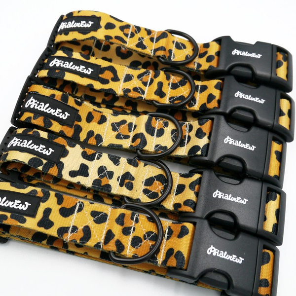 Dog Collar Psiakrew Tarzan 3 cm, 1.18" wide