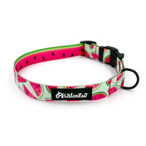 Obroża dla Psa Regulowana Watermelon Psiakrew, szer. 2 cm, mały pies, okucia czarne