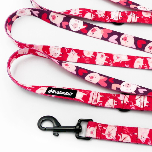 Long Dog Leash Piggy in Love Psiakrew width 2 cm (0.78"), black snap hook 7 cm (3,15")