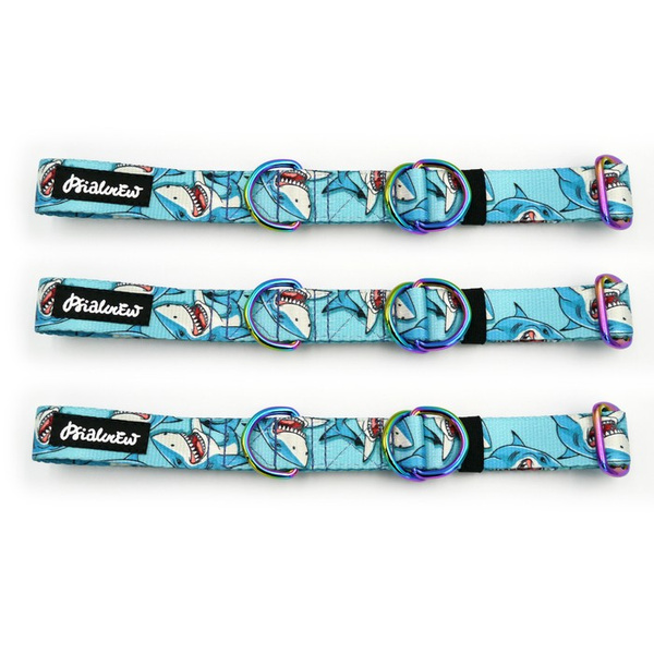 Halbes Würgehalsband Shark Psiakrew 2,5 cm breit, für mittelgroße und größere Hunde, Holo-Beschläge