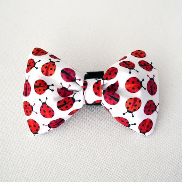 Dog Bow Tie Ladybug, pet bowtie