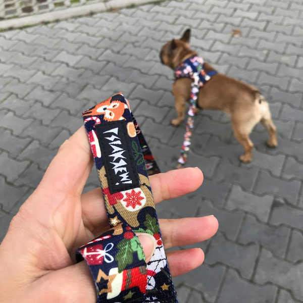 Szelki dla psa bezuciskowe świąteczny wzór Psiakrew Idzie Zima