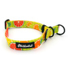Half-choke collar Lemonade Psiakrew, 2.5 cm wide, medium and big dogs, black extras