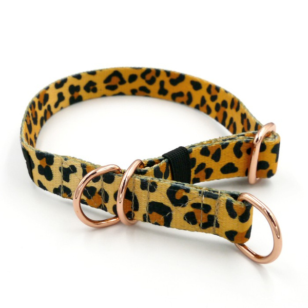 Half-Choke-Halsband Tarzan, 2 cm breit, für kleine Hunde, goldene Accessoires