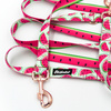 Lange Hundeleine abnehmbar verstellbar Watermelon Psiakrew Design Breite 2,5 cm, Karabiner roségold