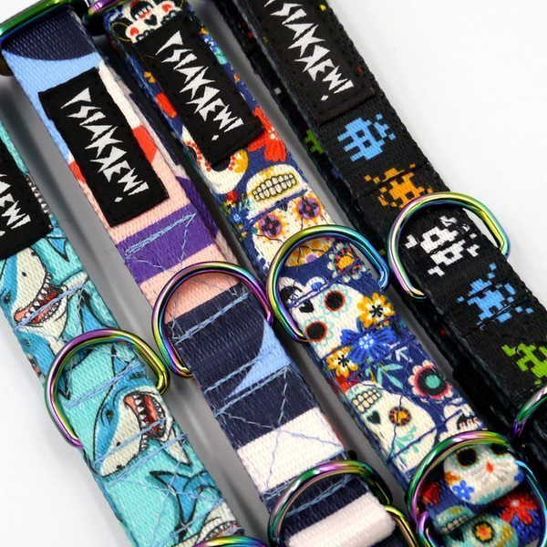 Half-choke collar Shark, 2 cm wide, for small dogs, Holo extras