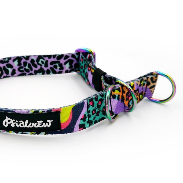 Obroża półzaciskowa Crazy Leopard szeroka na 2 cm, dla małych psów, Holo dodatki