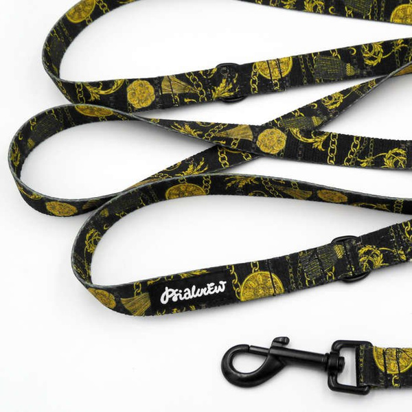 Long Dog Leash Donatella width 2 cm (0.78") wide, , black snap hook