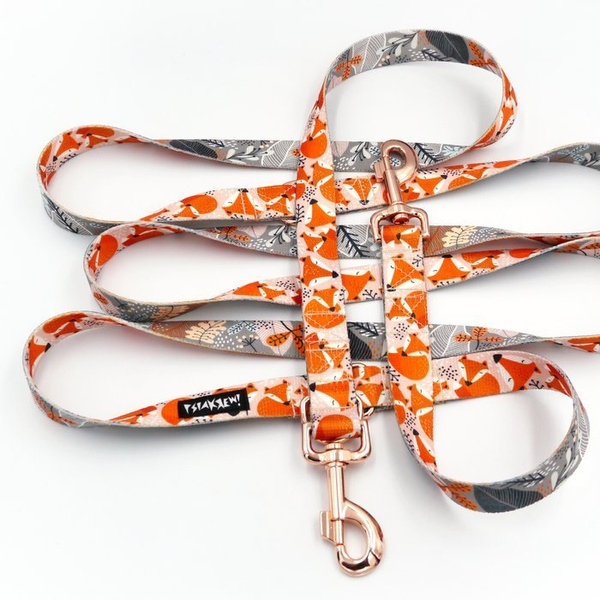 Długa Smycz Dla Psa Przepinana Regulowana Foxy Lady taśma 2,5 cm, karabińczyk różowe złoto