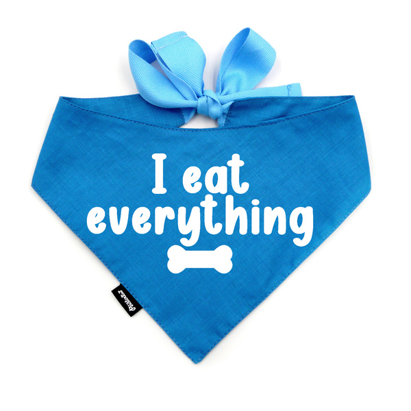 Dog Bandana - TREAT HUNTER - Psiakrew, personalized tied handkerchief, yellow bandana scarf