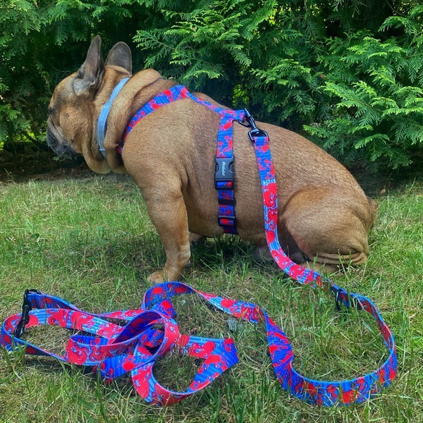 Harness for Dog, Model Sea Look Guard Harness, black extras